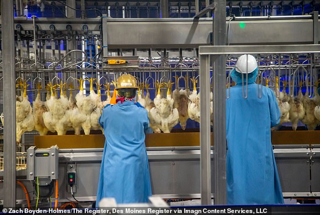 Fremont, a small city with a population of 27,000, is home to several meat processing plants, including the Costco chicken factory (pictured) and the Wholestone Farms pork plant.  The city had a ban for a decade preventing non-citizens from renting properties.
