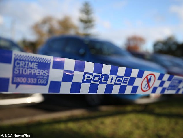Two men have been taken to hospital after being stabbed in an affluent Sydney suburb.