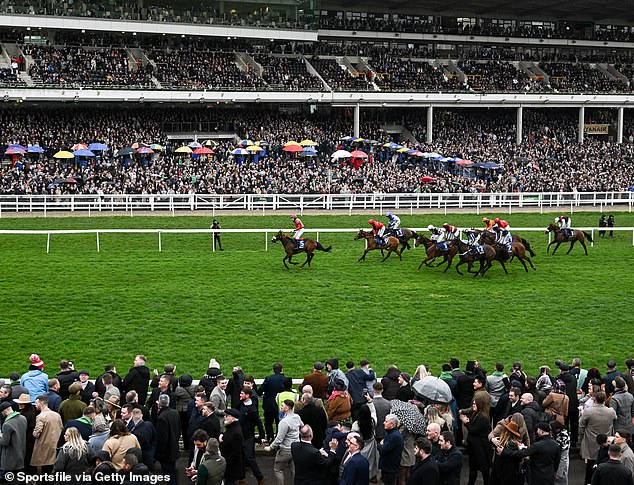 Thousands of fans will flock to Cheltenham Festival this week