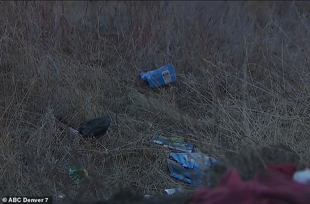 Local news stations show photos and videos of the road with broken locks, buildings with graffiti and alcohol bottles and beer cans scattered across the grass.