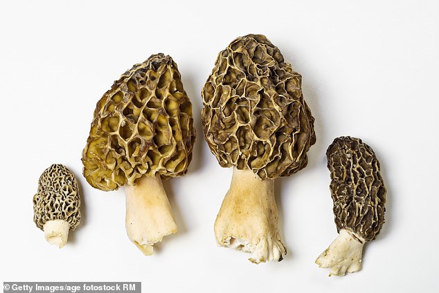 Undercooked morels have been linked to an outbreak of serious intestinal upset among Montana restaurant patrons last year.