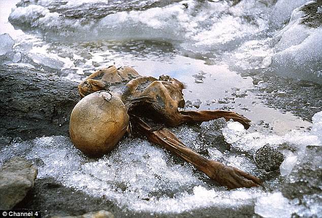 The 5,300-year-old mummified corpse was found by hikers in 1991, melting in the ice of the Alps, about 3,210 meters (10,532 feet) above sea level.