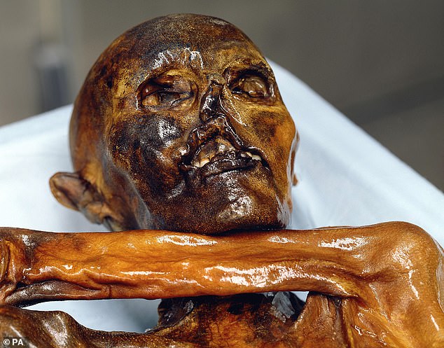 Ötzi the Iceman is the natural mummy of a man who lived between 3350 and 3105 BC. Ötzi's remains were discovered on September 19, 1991 in the Ötztal Alps.
