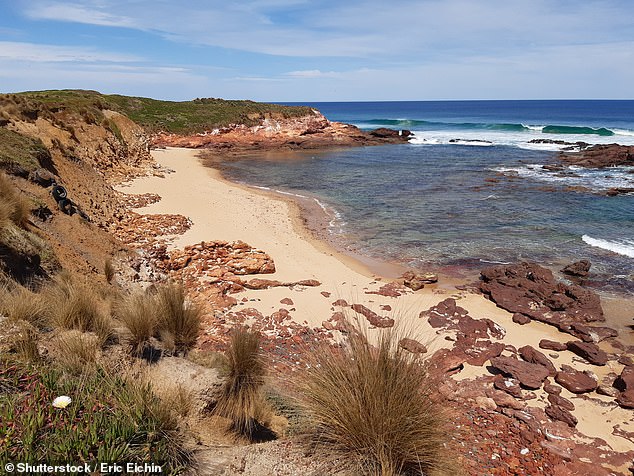 The family was taking a road trip through Phillip Island when they made a last-minute decision to visit the unpatrolled Forrest Caves beach (pictured).