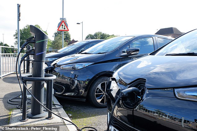 Used car dealers are reluctant to increase their stock of electric vehicles - a survey of second-hand motor dealers found that half are less willing to buy second-hand electric vehicles over concerns about their value.