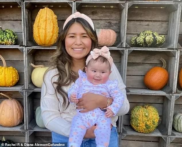 Vanessa Schwartz, 35, was struck and killed at 4 a.m. Sunday on I-495 in Virginia after her first night out since giving birth to her daughter Lucy eight months ago.