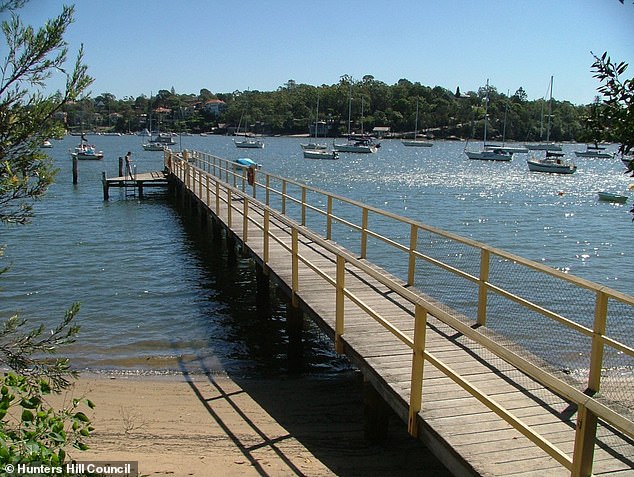 A council spokesman said signs had been installed to warn swimmers on the netted beach located between multimillion-dollar homes along Sydney Harbour.