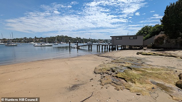 The boy was enjoying a day in the water at Sydney's Woolwich Baths (pictured) on Wednesday when he came into contact with a blue-ringed octopus and picked it up.