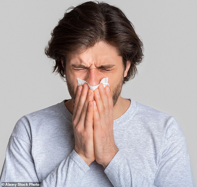 Chronic sinusitis, or permanently stuffy nose, develops when the nasal passages and lining of the sinuses become inflamed and blocked.