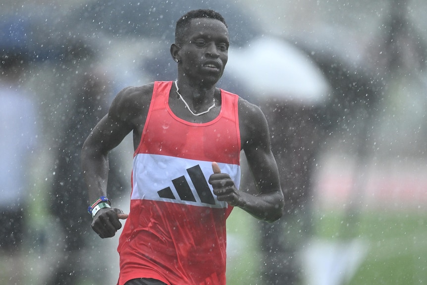 Peter Bol races in the rain at the Stawell Gift races.