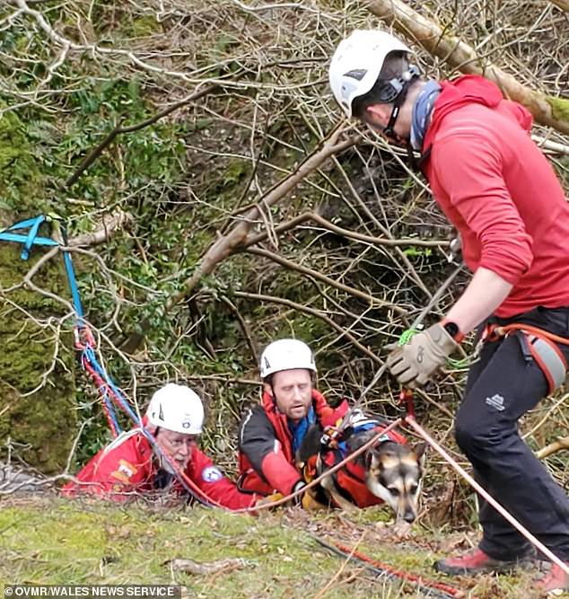 The dog and its owner were located and rescue members came down with ropes and equipment to help reach the couple and get the dog to safety.