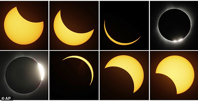 Scientists studied the behavior of animals during the last solar eclipse in 2017 to better understand why they exhibit unusual behavior when the moon blocks the sun.