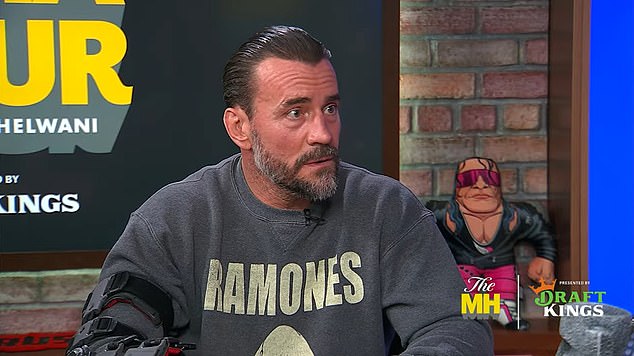 Punk addressed what really happened during an appearance on The MMA Hour on Monday.