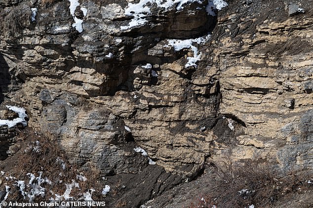 But they are also experts at blending effortlessly into their surroundings with their thick gray and yellow-tinged fur.  The image of a snow leopard blends into the mountain above.  Can you see it?