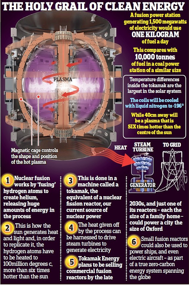 The holy grail of clean energy: Pictured is how a reactor works, based on one developed by Tokamak Energy, based in Milton, Oxfordshire.