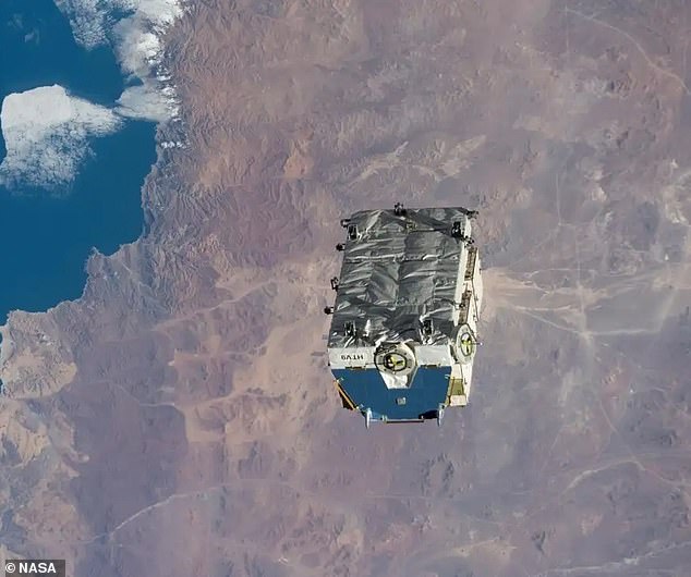 NASA released the pad (pictured) from the International Space Station in 2021 and said it would orbit Earth for two to four years before re-entering the atmosphere.