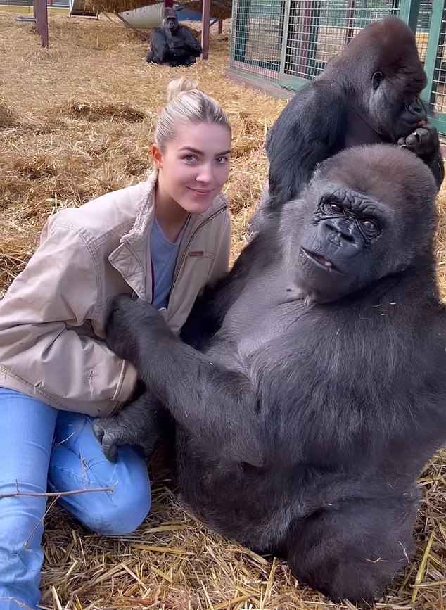 Freya Aspinall (pictured) with one of the gorillas at her father's wildlife park
