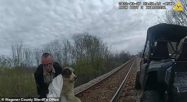 The puppy was hit by a train on March 24 and was unable to free itself from the tracks for the next three days.