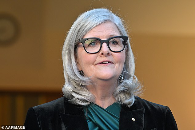 Mostyn has long been vocal about her ambitions to see positive change in Canberra after working as a policy adviser to two ministers and the Prime Minister during the Keating era of government.