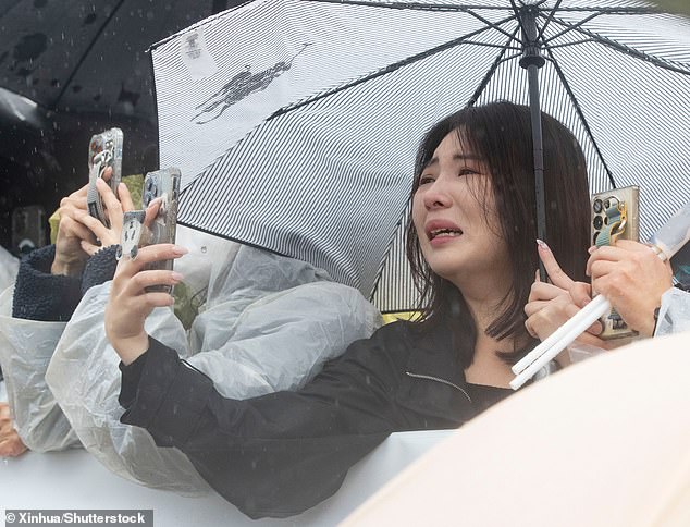 A woman was seen leaning over a barrier, sobbing as she took a photo of the convoy carrying the panda.