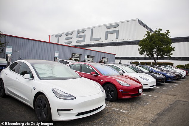 Wall Street is bracing for Tesla's first sales decline in four years as appetite for electric cars continues to slow.