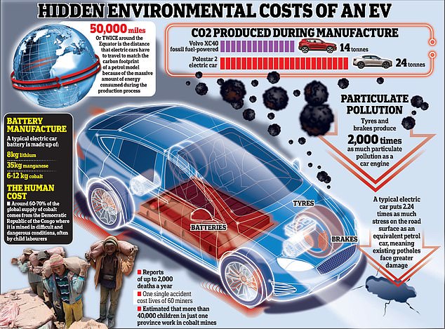 Chart revealing some of the hidden environmental costs of electric cars