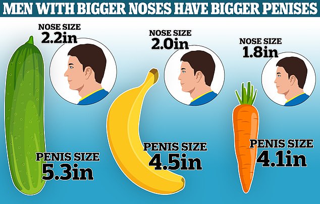 Men with larger noses have a penis 1.2 inches (29%) longer than those with smaller noses. For people with noses that fall in the middle range, the average penis size is 4.5 inches. In Japan, the average penis size is 4.5 inches, according to previous research
