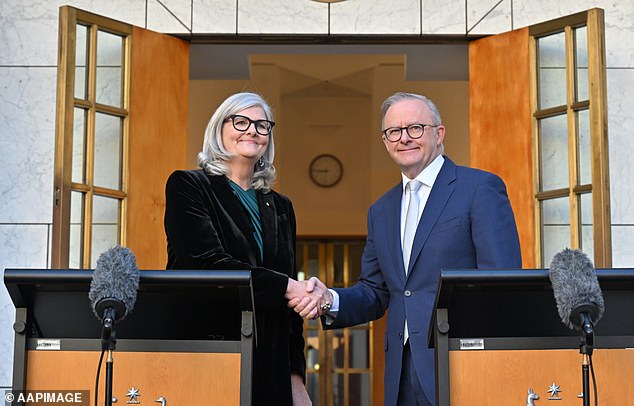 Sam Mostyn deleted her entire social media presence before Prime Minister Anthony Albanese announced her as David Hurley's replacement on Wednesday morning.