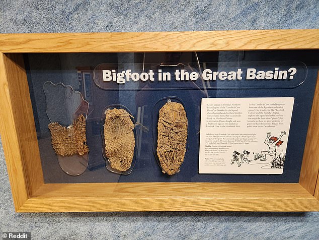 These remains of shoes were found during the excavations of Lovelock Cave.  They were made for feet that would have been the equivalent of a size 29 in the US.