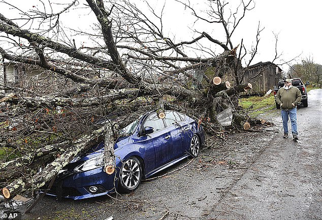 Blue sedan crushed by large downed tree in West Virginia on Wednesday
