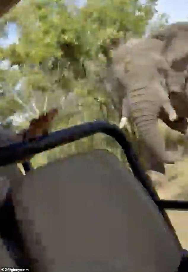 The elephant was able to keep up with the truck before pouncing on it.