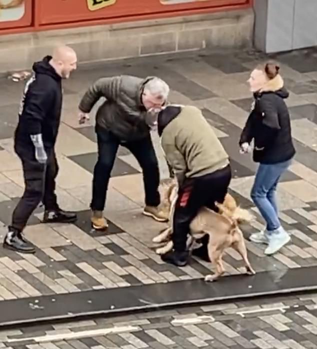 1712283392 319 Shocking moment dog owner repeatedly kicks crazed animal as it