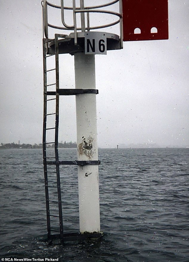 The tinnie had initially collided with a channel marker before veering off and hitting David Crossley's 12 meter catamaran (file image)