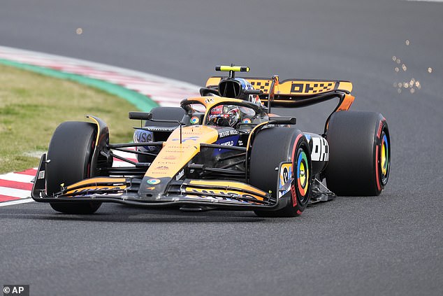 Lando Norris did well to take his McLaren to third place, sharing the second row with Carlos Sainz.
