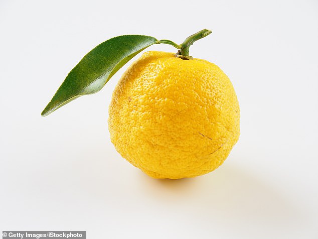 Yuzu is a popular citrus fruit that researchers highlight in the Japanese diet