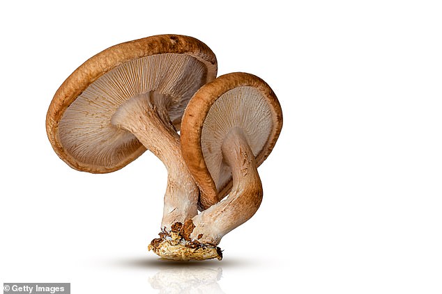 The authors of the study highlighted shitake mushrooms