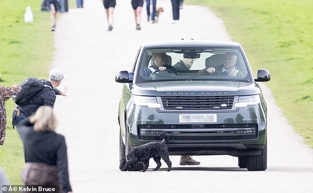 The man does not realize at first that his beloved pet is in front of the royal car.