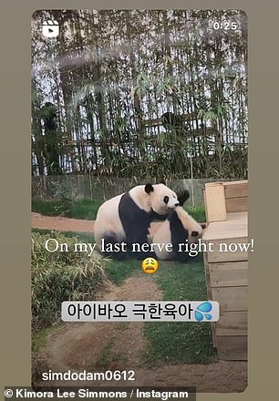 Kimora, 48, reposted a since-deleted video of a mother panda protecting her cub