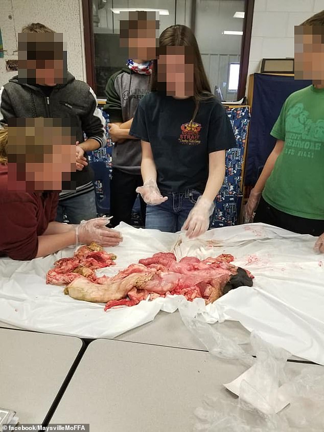 In different class units, students were tasked with identifying animal organs, processing raw meat, and bringing it to the table.