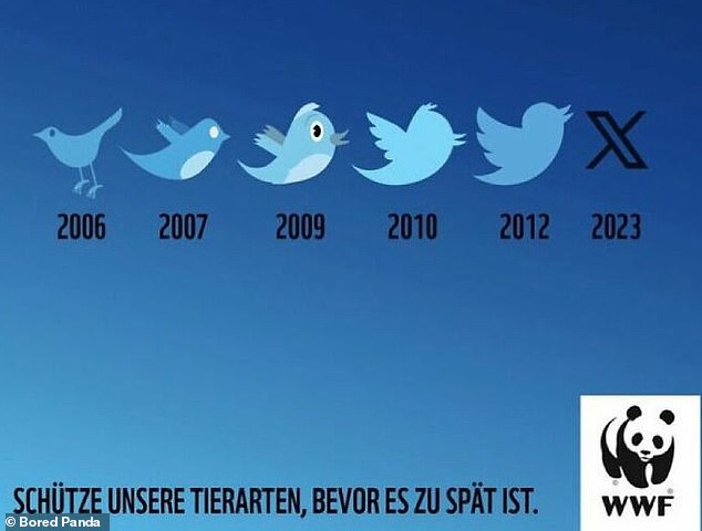 On the other hand, a suggestive World Wildlife Foundation from Germany, which used the evolution of the Twitter logo as a metaphor for birds on the brink of extinction.