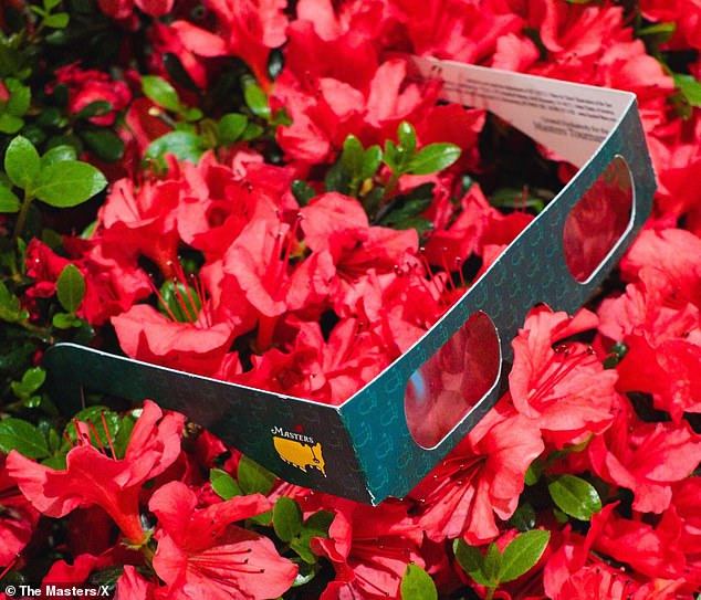On some flowers you can see disposable protective glasses with the Masters logo