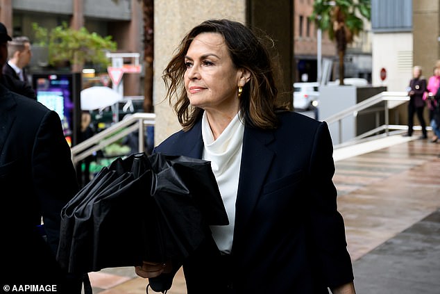 Lisa Wilkinson (pictured outside court) is also being sued by Mr Lehrmann over her television interview with Ms Higgins.