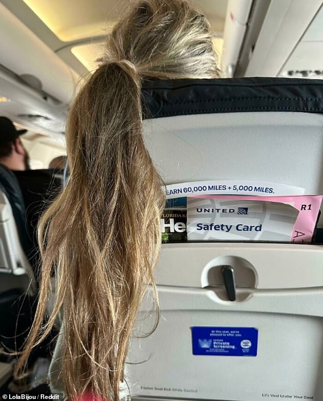 Hair, hair! This person on a United flight put his ponytail over the headrest