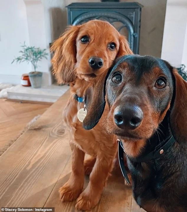 The TV personality sparked concern among her 5.9 million followers about her dogs Teddy and Peanut after she posted a photo on her Instagram.