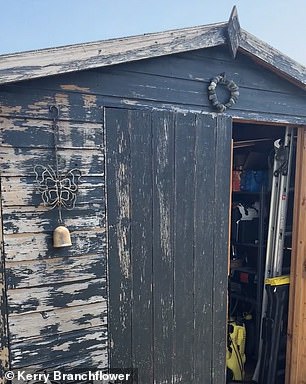 BEFORE: This Savvy Mother of Three Transformed Her Dark-Looking Shed Into a Bright Spring Feature