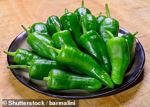 The famous Padron peppers