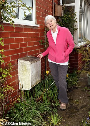 Carole has to take readings manually after her smart meter stopped working six months ago