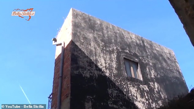 The back of the house was painted black, making the neighbor's restricted view even worse.