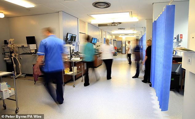Between March and June 2023, around 14 per cent applied for non-NHS jobs, according to academics (File image)