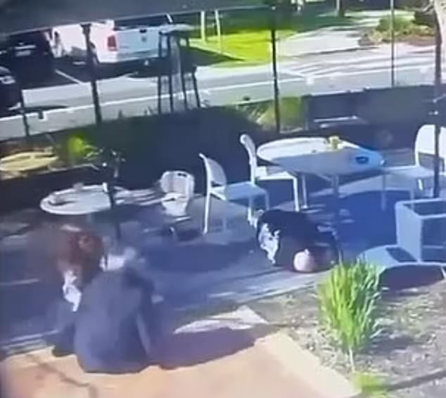 Preston was shot in a cafe on the outskirts of Melbourne at around 10:20am on September 9 (pictured after the shooting, Preston is seen on the ground on the right)